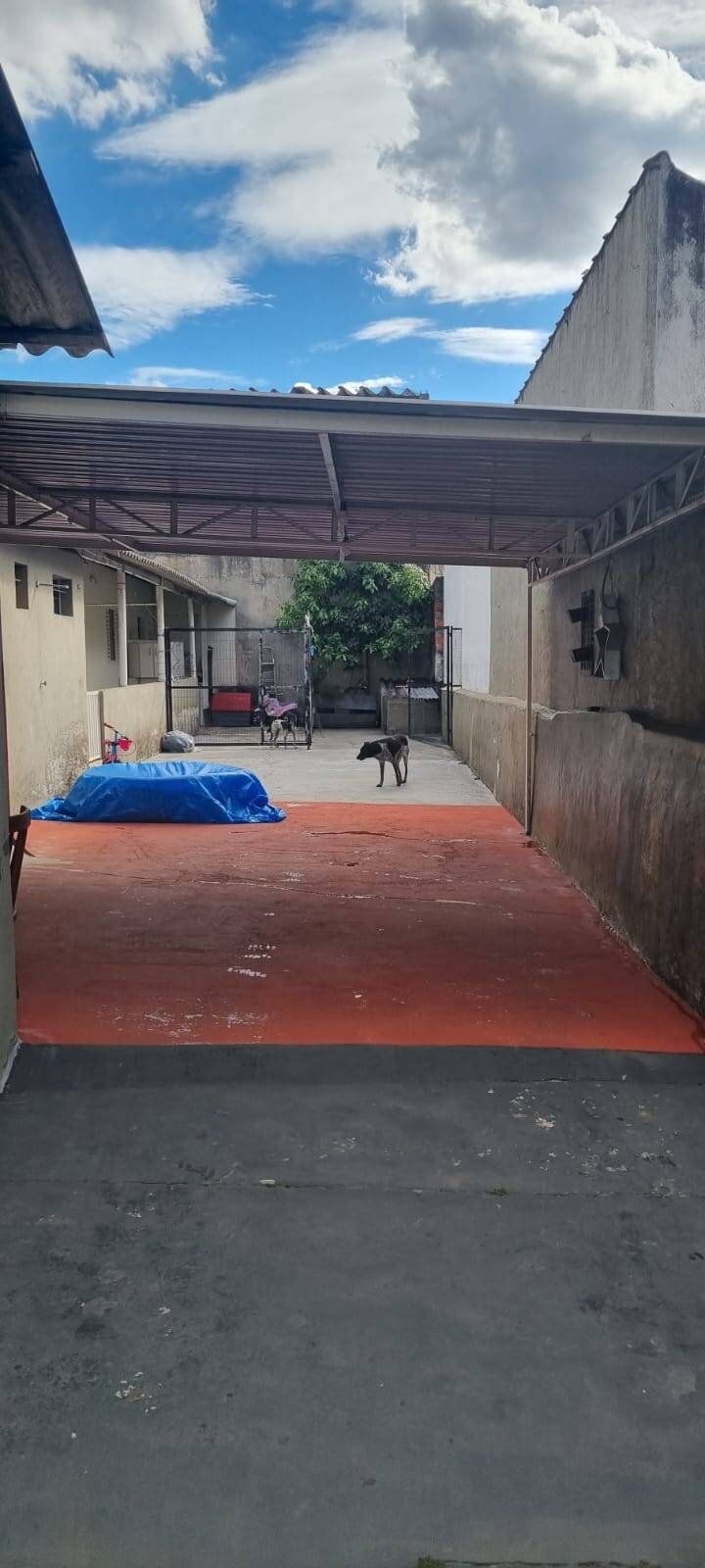 Casa, 5 quartos, 500 m² - Foto 14