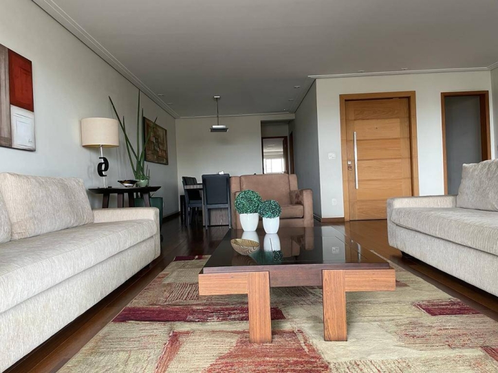 Apartamento, 3 quartos, 264 m² - Foto 6