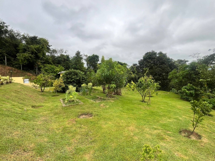 Chácara à venda com 4 quartos, 380m² - Foto 46