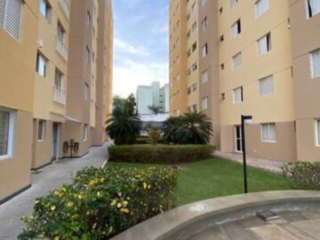 #73837 - Apartamento para Venda em São Paulo - SP - 1