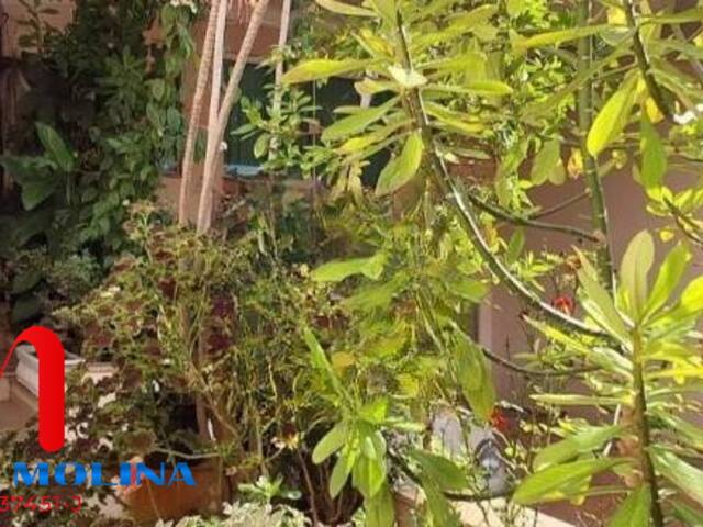 Sobrado para Venda em São Caetano do Sul - 4