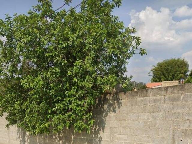 #10835 - Terreno para Venda em Pinhalzinho - SP - 3