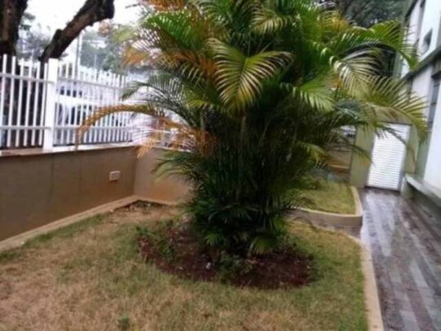#11049 - Apartamento para Venda em São Caetano do Sul - SP - 2