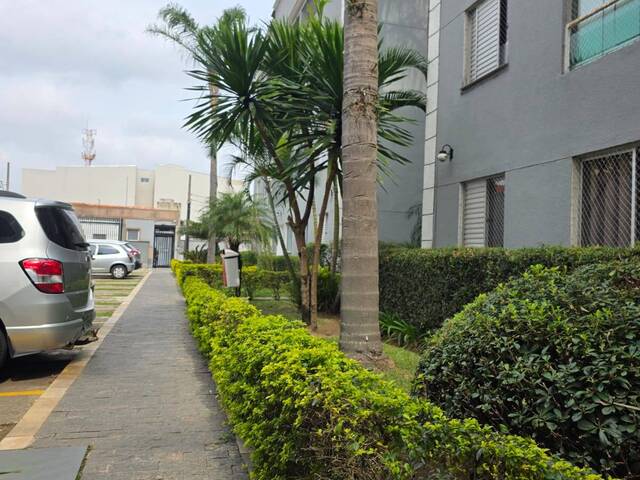 #11055 - Apartamento para Venda em Santo André - SP - 3