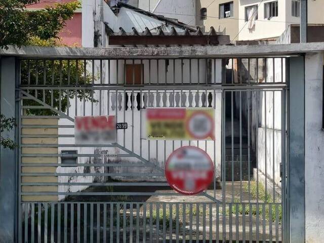 #11088 - Terreno para Venda em São Caetano do Sul - SP - 3