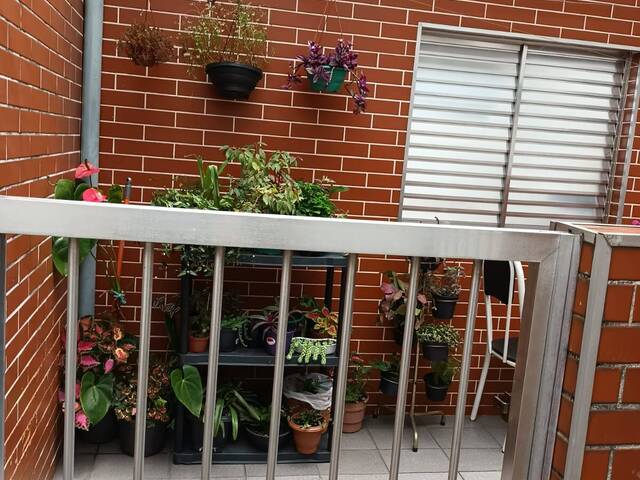 #11107 - Casa para Venda em São Caetano do Sul - SP - 2