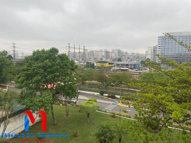 #11128 - Apartamento para Venda em São Caetano do Sul - SP - 3