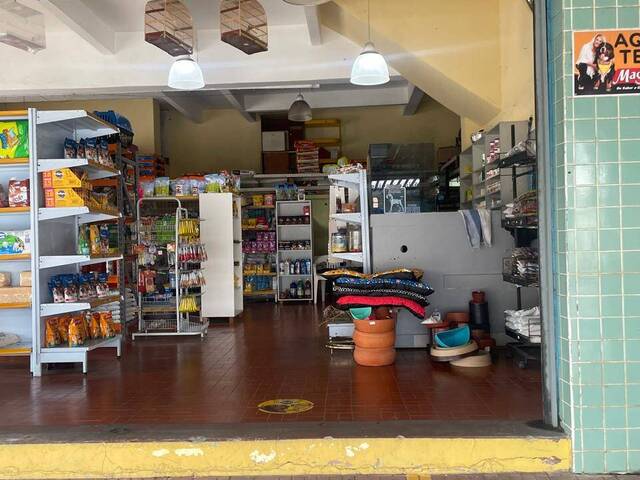 #11179 - Salão Comercial para Locação em São Caetano do Sul - SP - 3