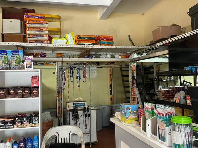 Salão Comercial para Locação em São Caetano do Sul - 5