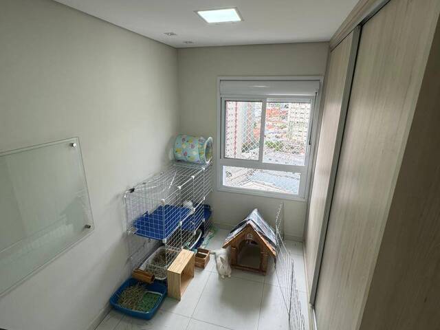 #11246 - Apartamento para Venda em São Caetano do Sul - SP - 1