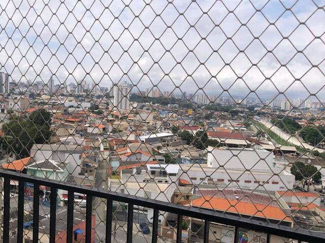 #11251 - Apartamento para Locação em Santo André - SP - 3