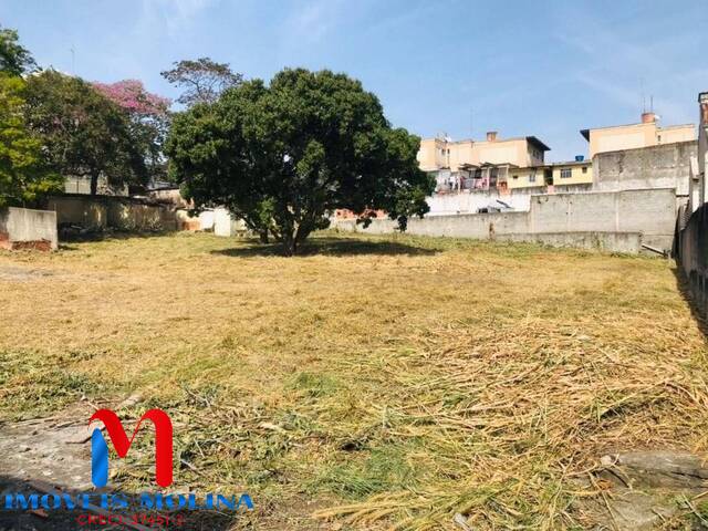 #11480 - Área para Locação em São Bernardo do Campo - SP - 2