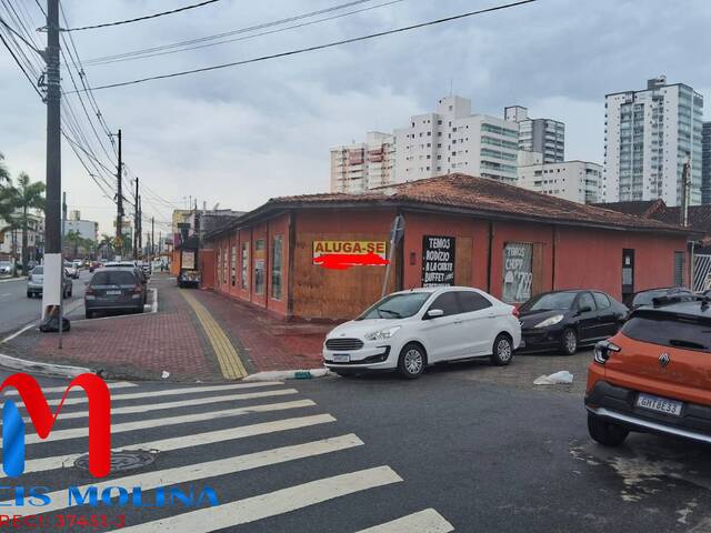 #11717 - Ponto Comercial para Locação em Praia Grande - SP - 1