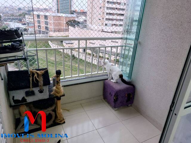 Apartamento para Venda em São Caetano do Sul - 5