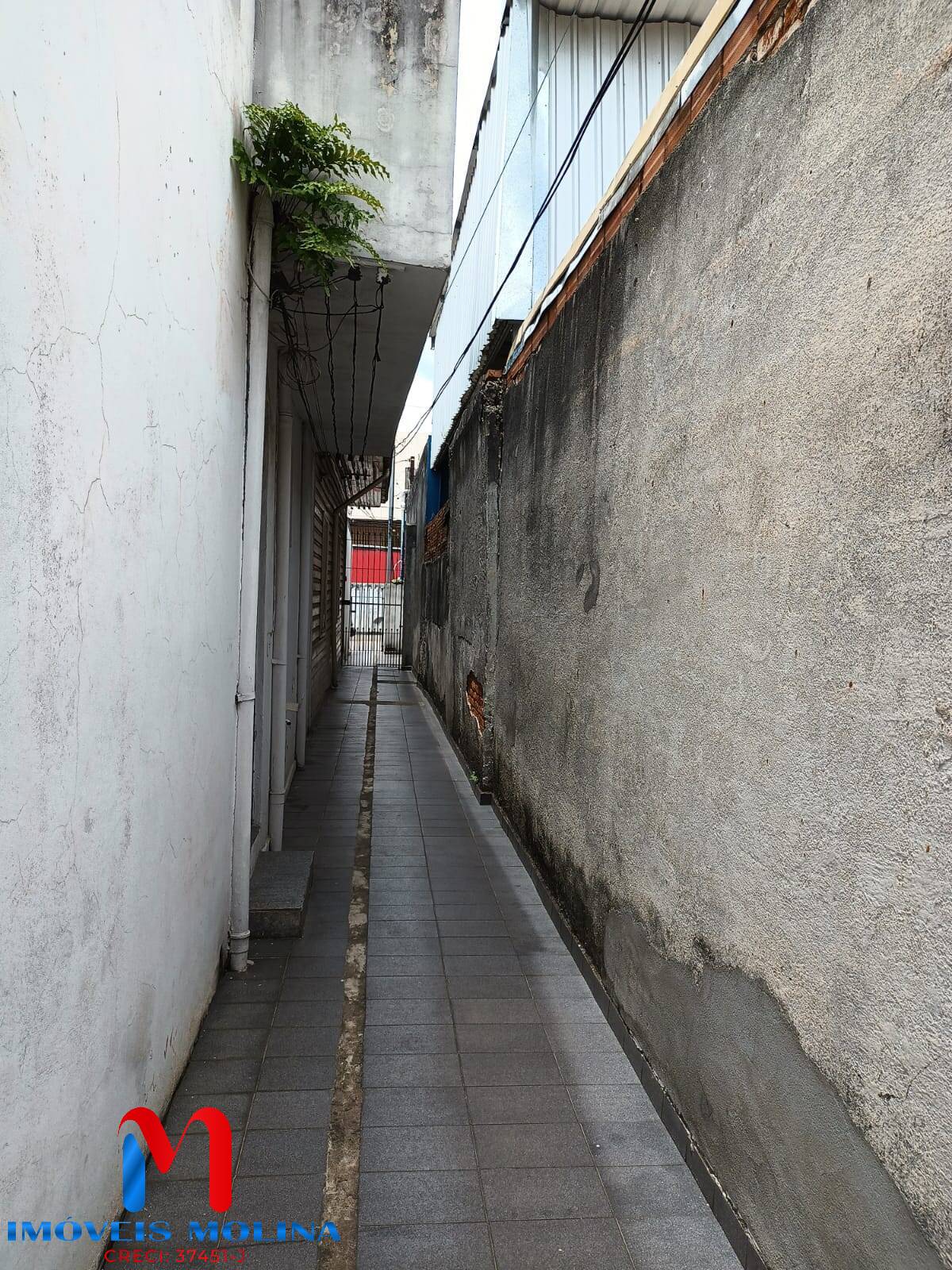 Casa à venda com 6 quartos, 390m² - Foto 9