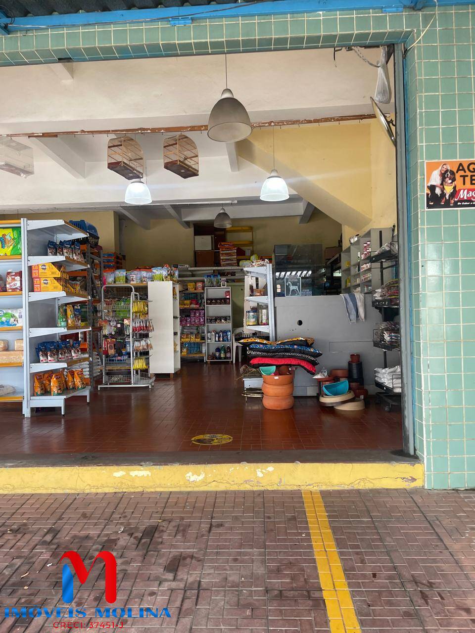 Loja-Salão, 309 m² - Foto 3