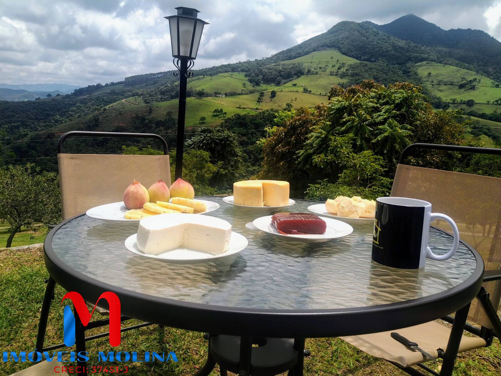 Chácara, 2 quartos, 9539 m² - Foto 3