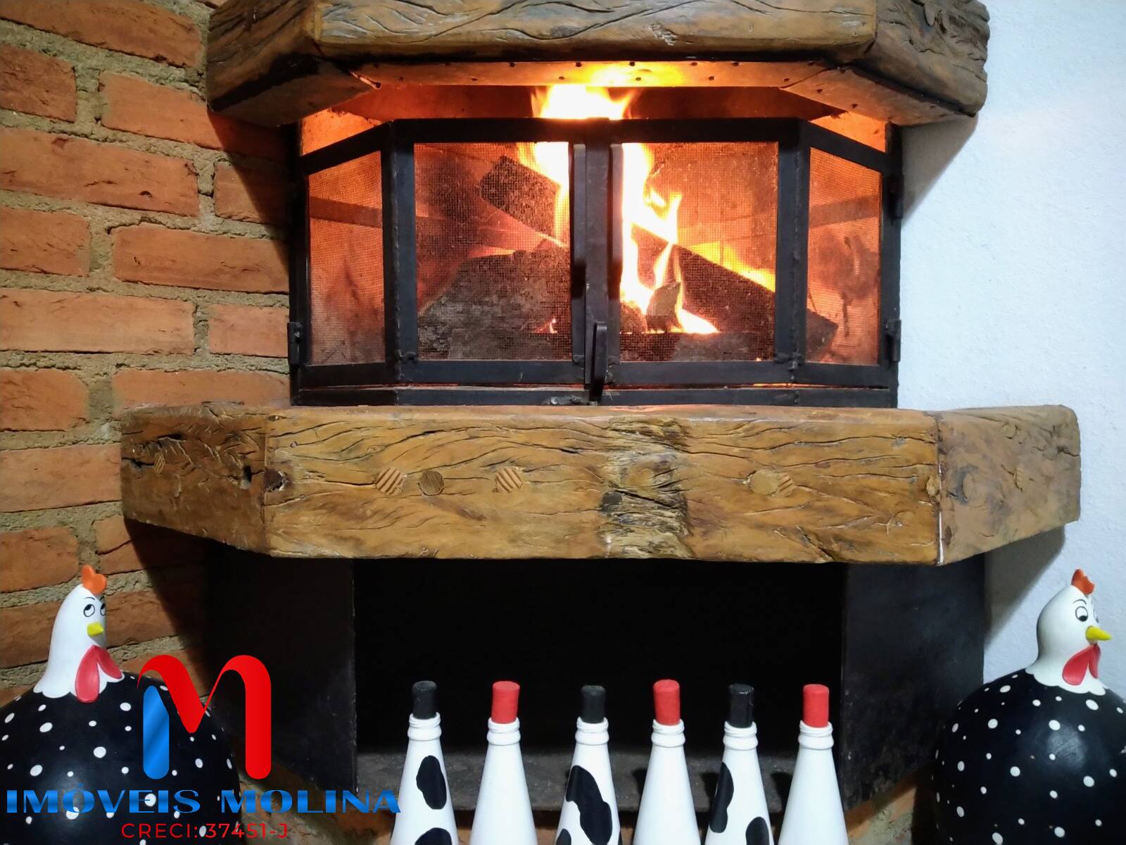 Chácara, 2 quartos, 9539 m² - Foto 4