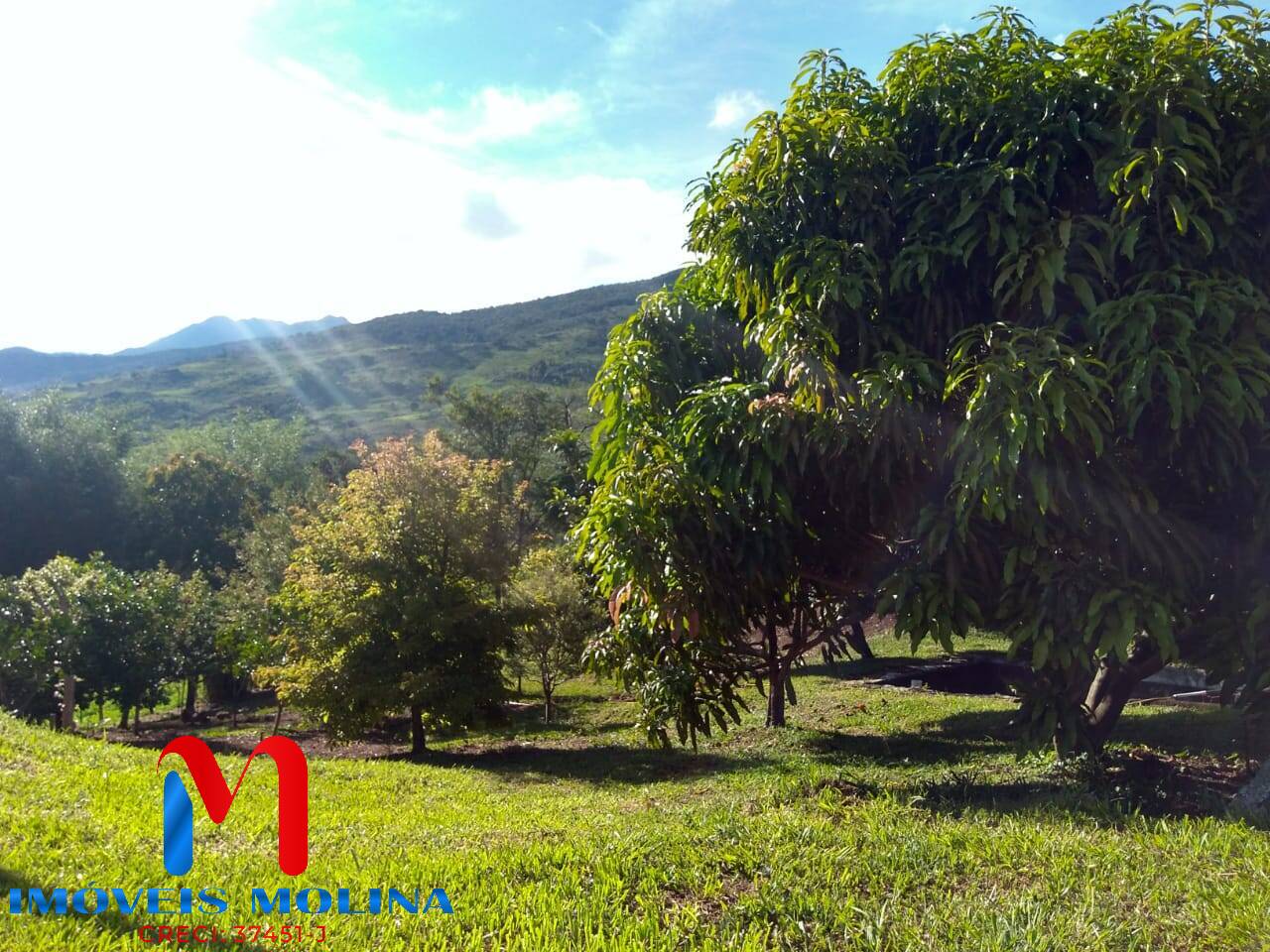 Chácara, 2 quartos, 9539 m² - Foto 10