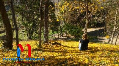 Chácara, 2 quartos, 9539 m² - Foto 18