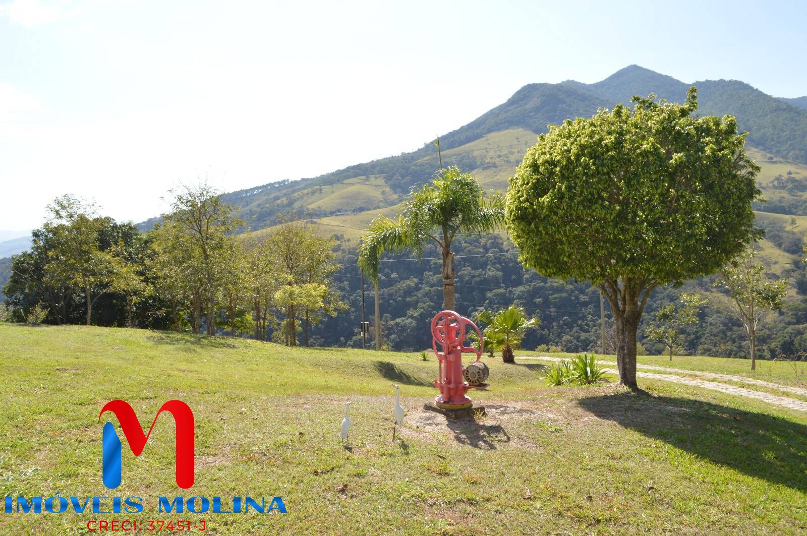 Chácara, 2 quartos, 9539 m² - Foto 24