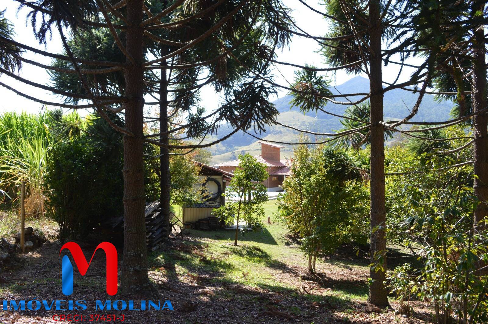 Chácara, 2 quartos, 9539 m² - Foto 32