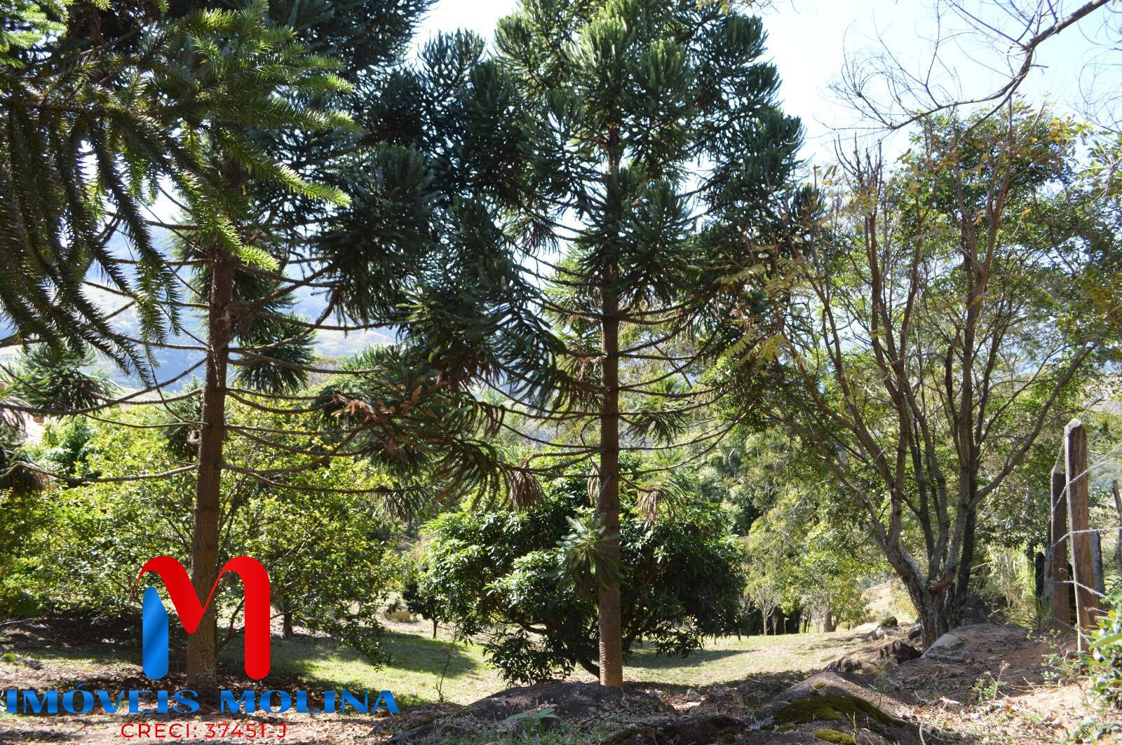 Chácara, 2 quartos, 9539 m² - Foto 35