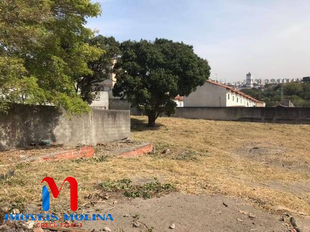 Terreno, 2166 m² - Foto 5