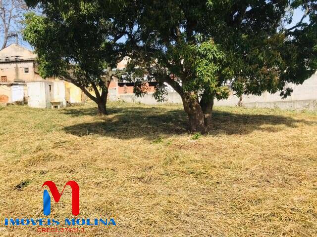 Terreno, 2166 m² - Foto 4